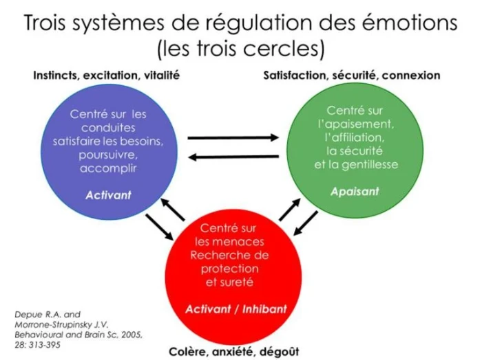 3 Systèmes de régulation des émotions