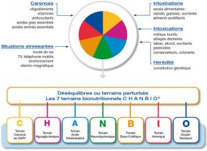 Les 7 terrains bionutritionnels CHANBIO