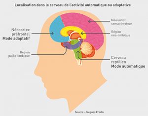 Activité automatique ou adaptative