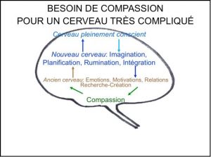 Compassion pour un cerveau très compliqué