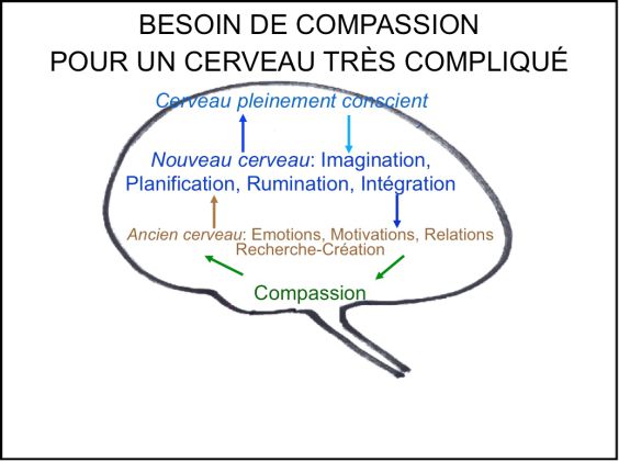 Compassion pour un cerveau très compliqué