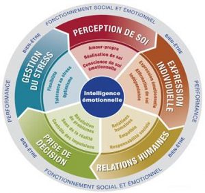 Intelligence émotionnelle