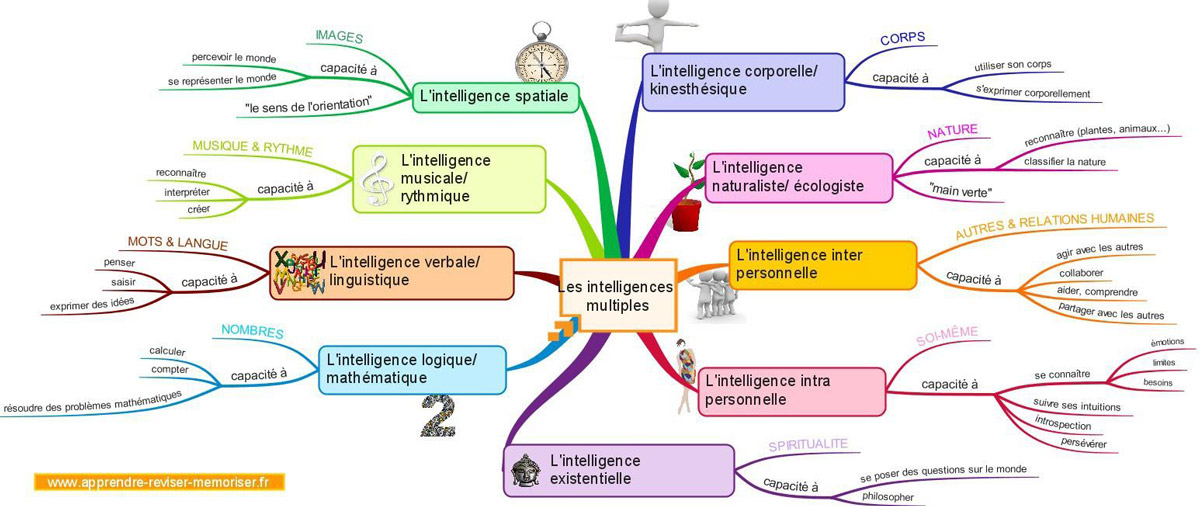 Les Intelligences multiples