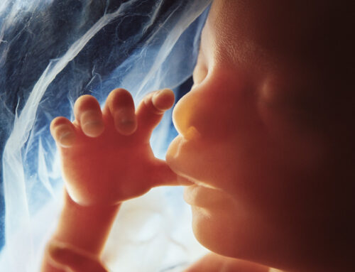 La libération des mémoires prénatales et de la naissance