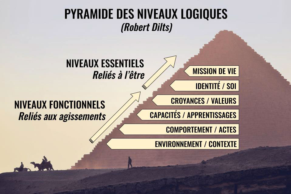 Pyramide des niveaux logiques par Robert Dilts